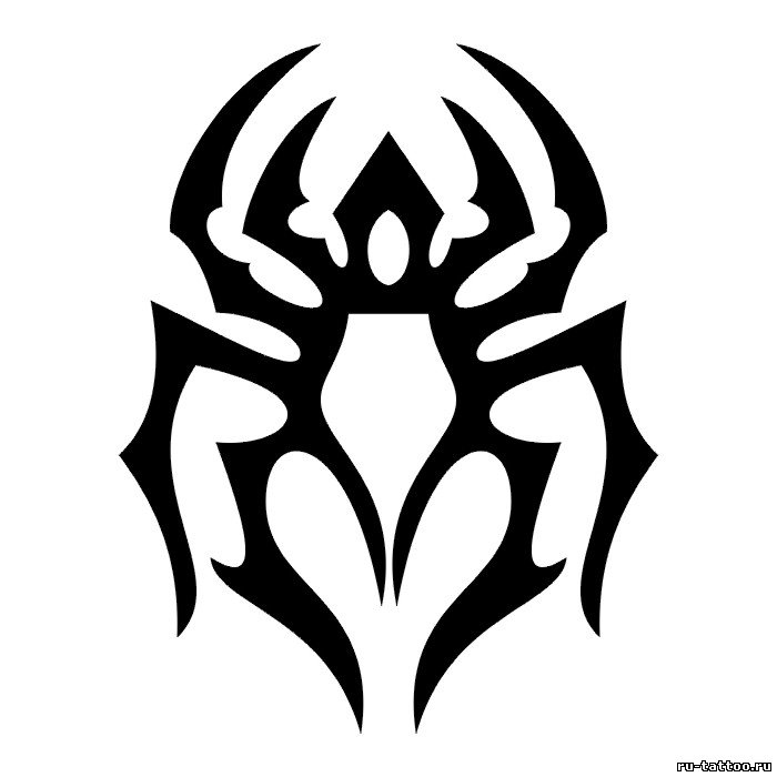 spiders11 spiders11