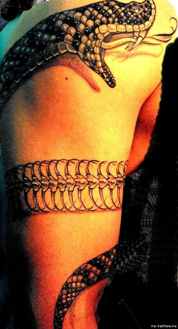 snake01 snake01