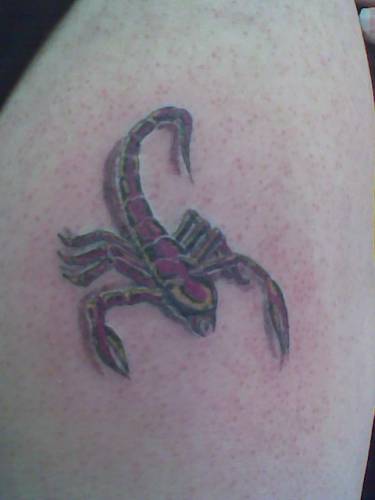 Фото и значение татуировки Скорпион.  ( Защита и Уважение ) 100289214