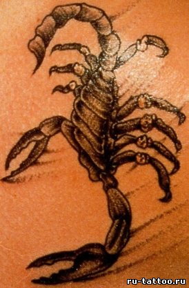 Фото и значение татуировки Скорпион.  ( Защита и Уважение ) 21261009