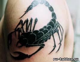 Фото и значение татуировки Скорпион.  ( Защита и Уважение ) 798389509
